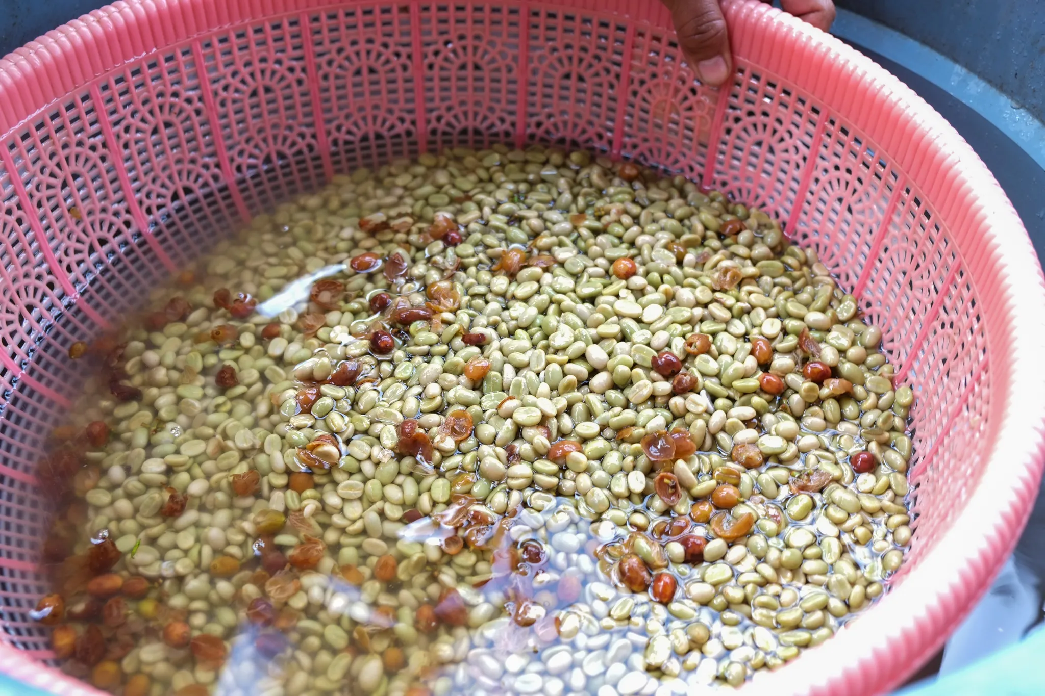 washed process